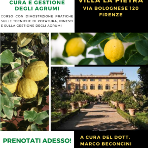 AGRUMALIA - Corso sulla potatura e gestione degli agrumi