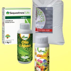 KIT COLTIVAZIONE AGRUMI BIO